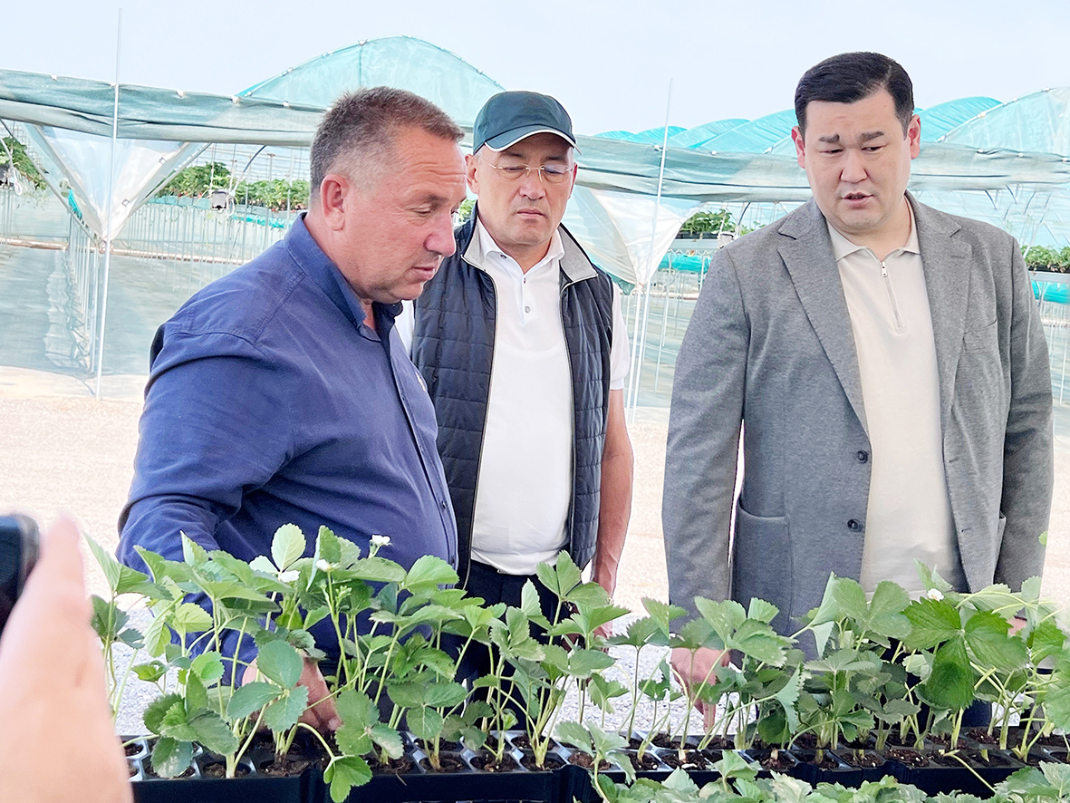 Агрокәсіпорынға қолдау зор