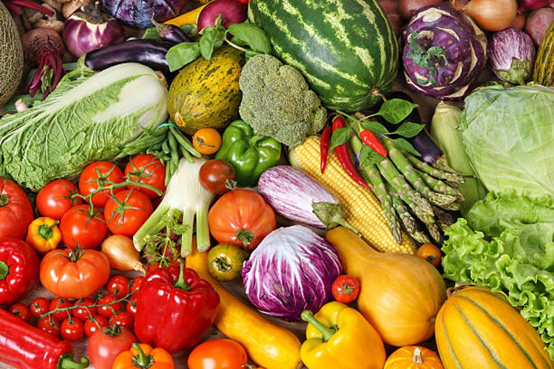 Көкөніс пен картоп қоры жеткілікті : 600 мың тоннадан астам өнім жиналды