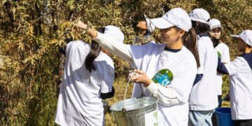 Алматы облысында «Таза Қазақстан» аясында 200 келіден астам жиде тұқымы жиналды