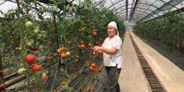 «Отанның» отандық өнімдері