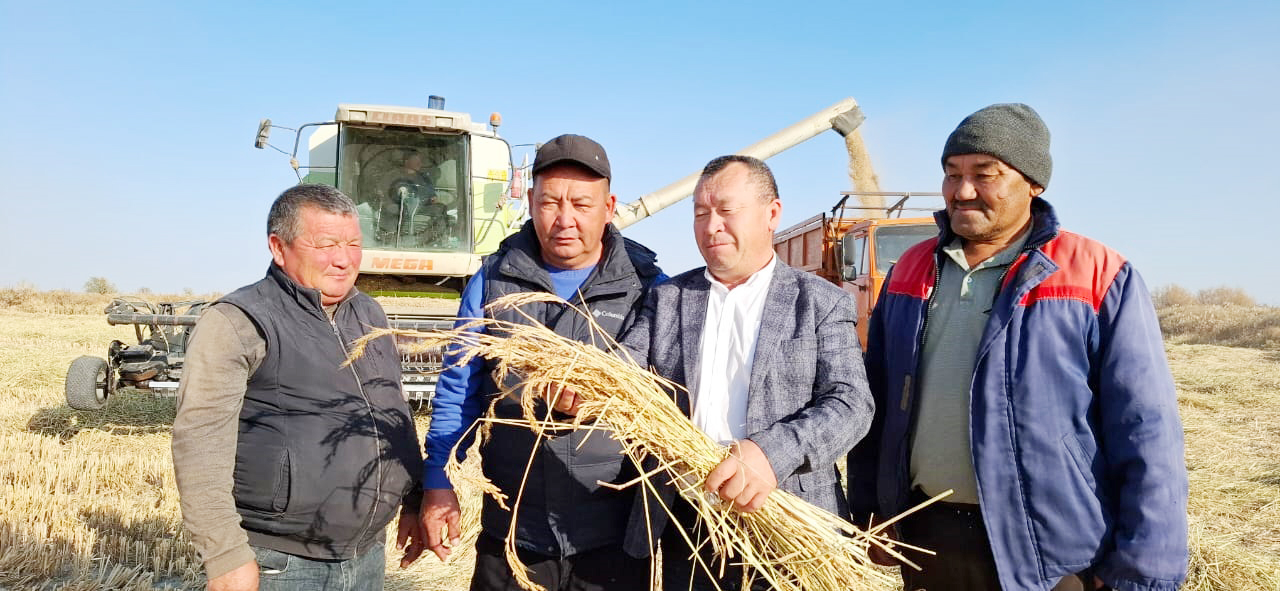 АҚ КҮРІШ – ЕЛ ЫРЫСЫ