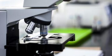 Әкімдік: Алматы облысында сібір жарасы көмілген аумақта қауіп жоқ