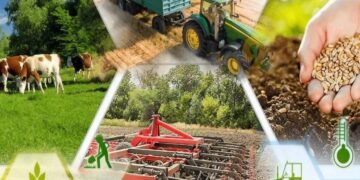 Селекциялық және асыл тұқымдық жұмыс жүргізу үшін субсидия қашан төленеді?