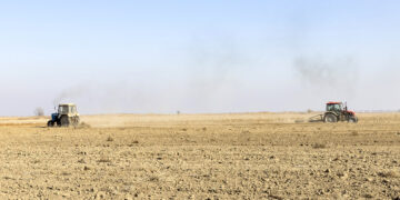 Күзгі далада қауырт жұмыс