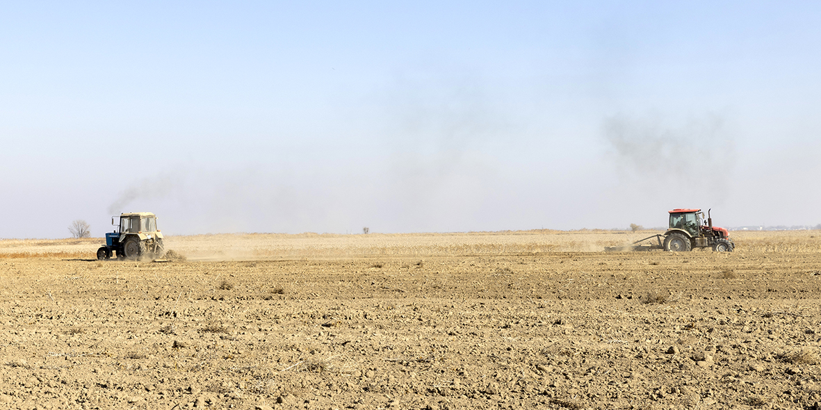 Күзгі далада қауырт жұмыс