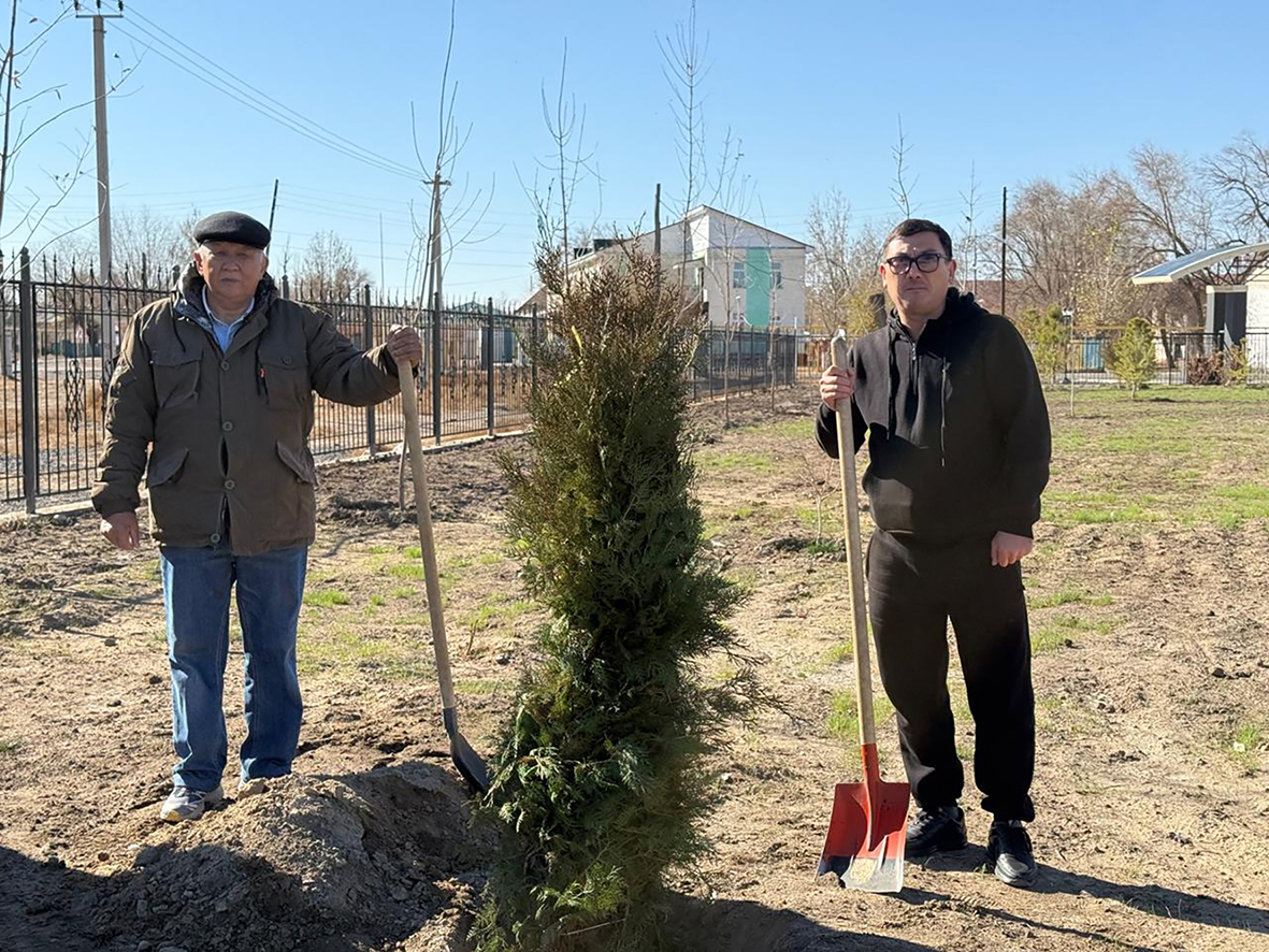 Саябаққа  көшет отырғызылды