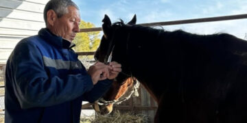 Еселі еңбек иесі