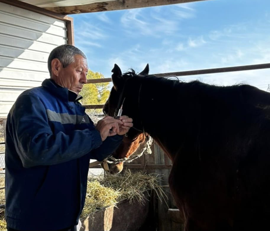 Еселі еңбек иесі