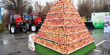 Өнімділік пен инновация: Алматы облысы ауыл шаруашылығындағы жылдық жетістіктерін көрсетті