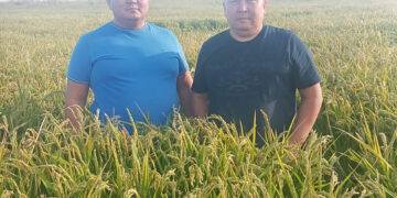 Адал еңбек – береке бастауы