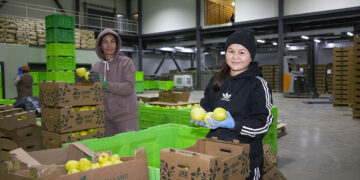 Дастарқаннан көкөніс үзілмейді