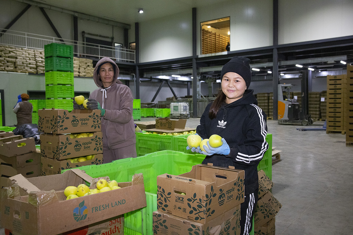 Дастарқаннан көкөніс үзілмейді