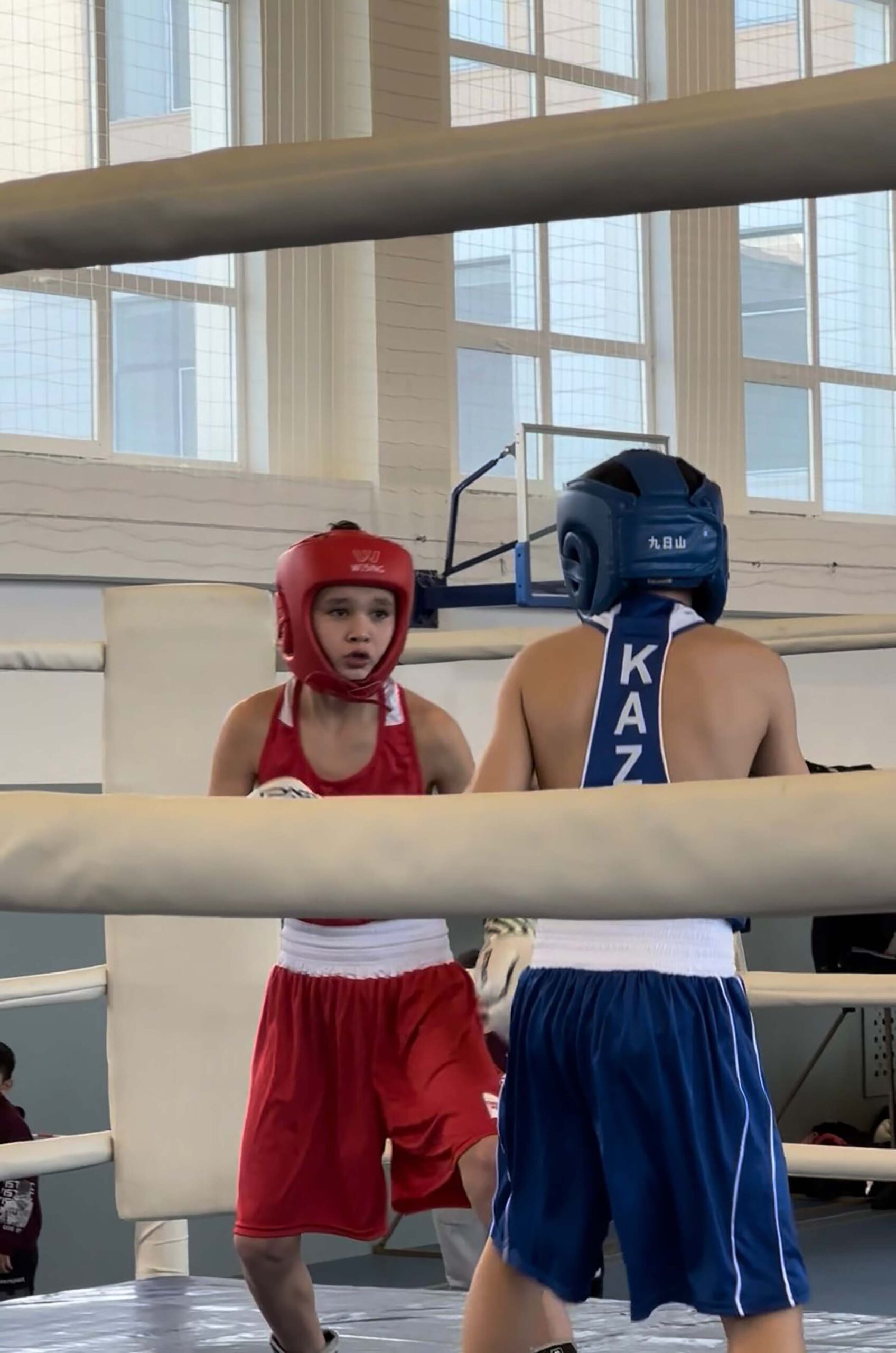 Жас боксшылар жарысы