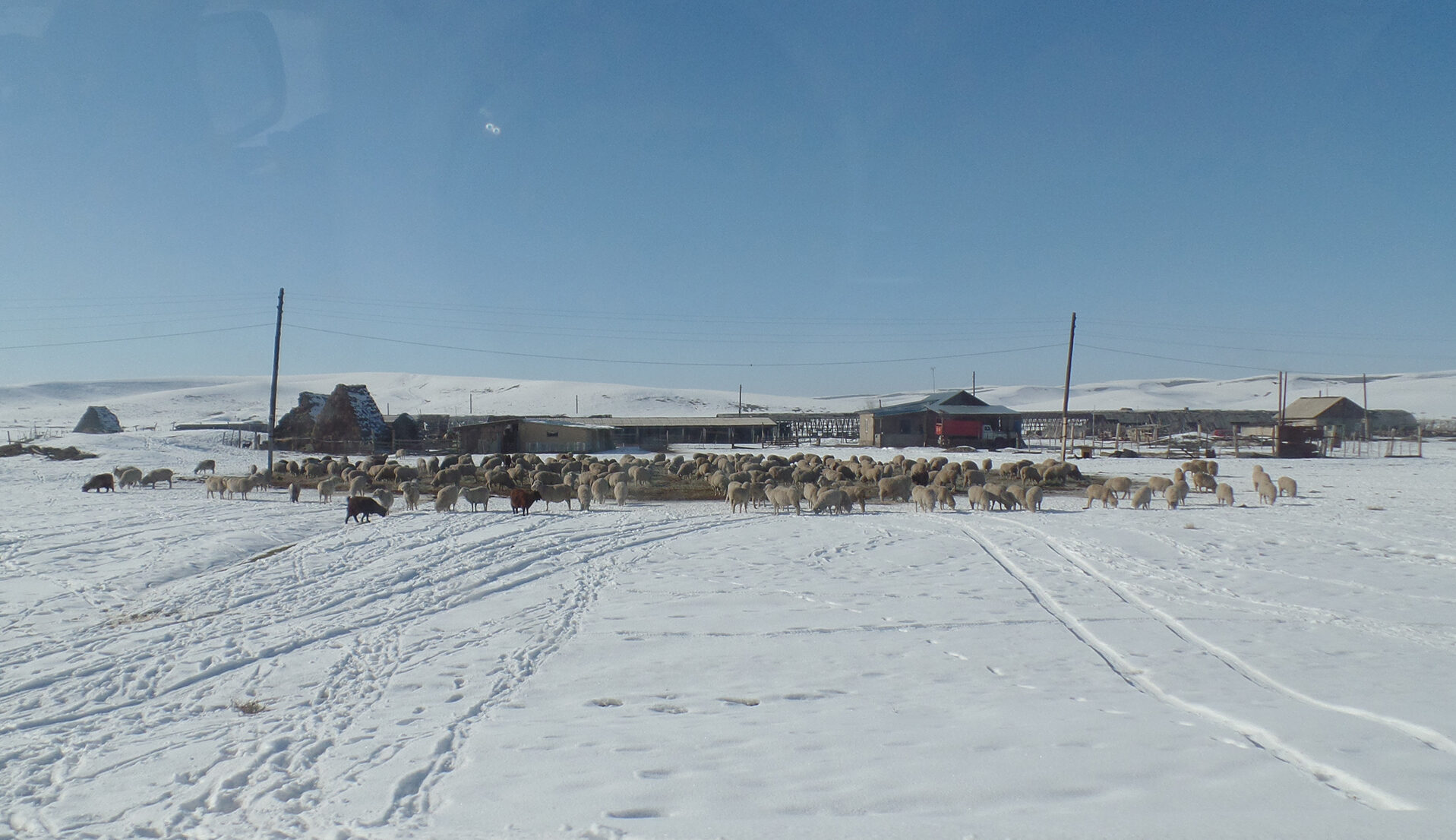 Мал-жан аман ба?