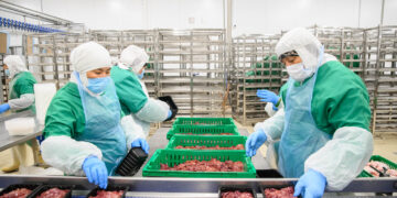 «Прима құстың» қуаты зор