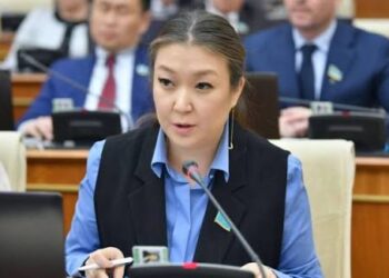 Бала құқықтары жөніндегі уәкіл жаңа Конституцияның басымдығын атады