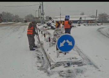 ЖОЛДАР ҚАРДАН ТАЗАЛАНЫП ЖАТЫР