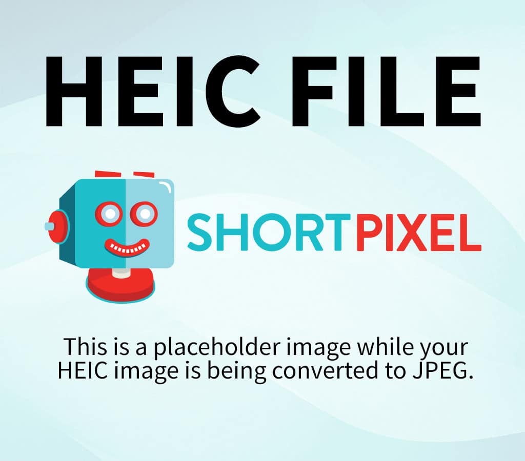 «Адал азамат: ауыл мектебінің келешегі» атты республикалық семинар-тренинг ұйымдастырылды