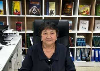 Жаңа Конституция – ел тұрақтылығын нығайтады