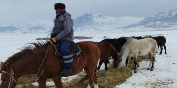 Шаруалар қолдау танытты