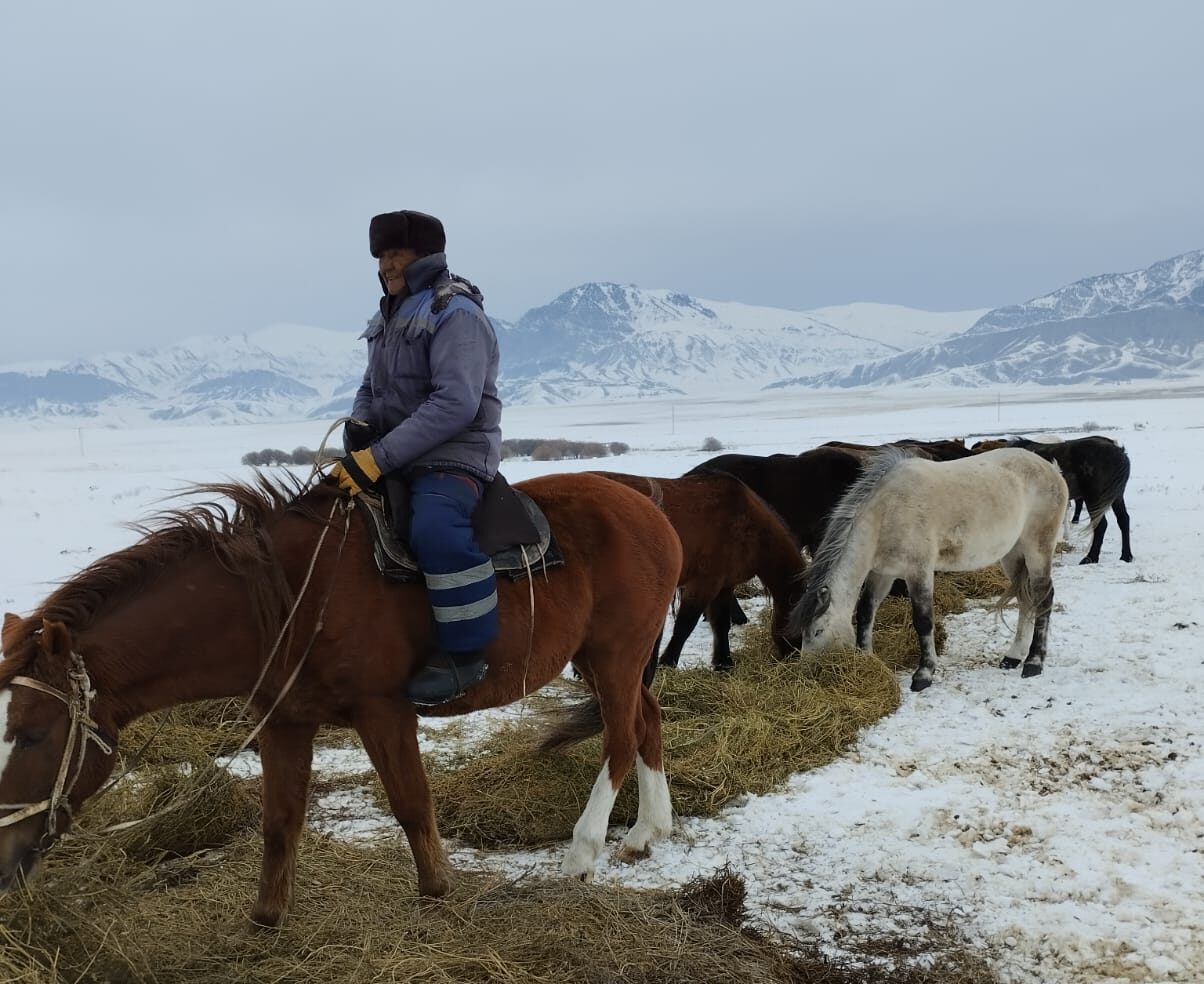 Шаруалар қолдау танытты