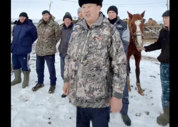 Әйгілі түйеші жаңа Конституция жайлы пікір білдірді