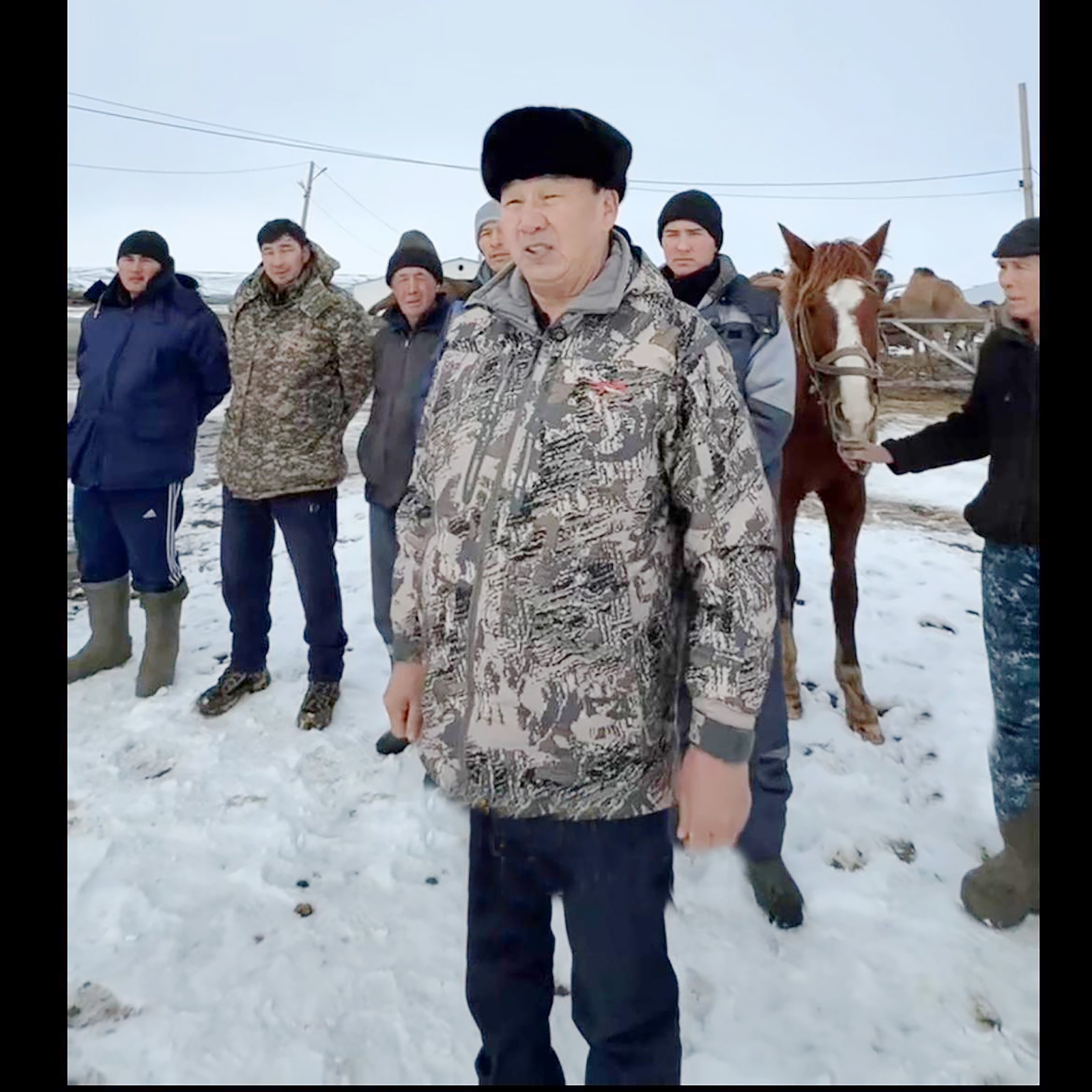 Әйгілі түйеші жаңа Конституция жайлы пікір білдірді