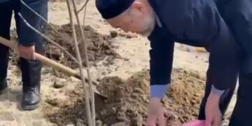 “Табиғатқа тағзым” акциясы: Алатауда игі істер атқарылды