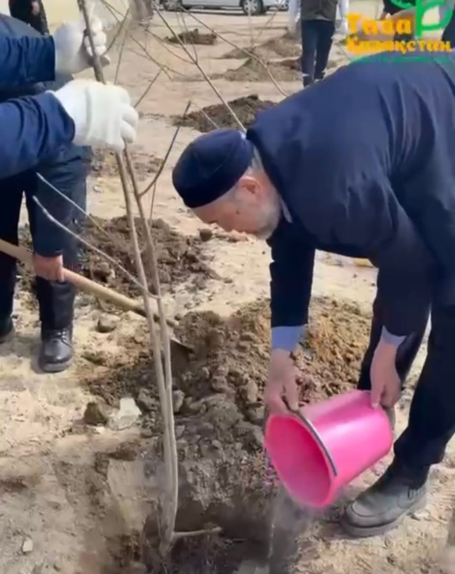 “Табиғатқа тағзым” акциясы: Алатауда игі істер атқарылды