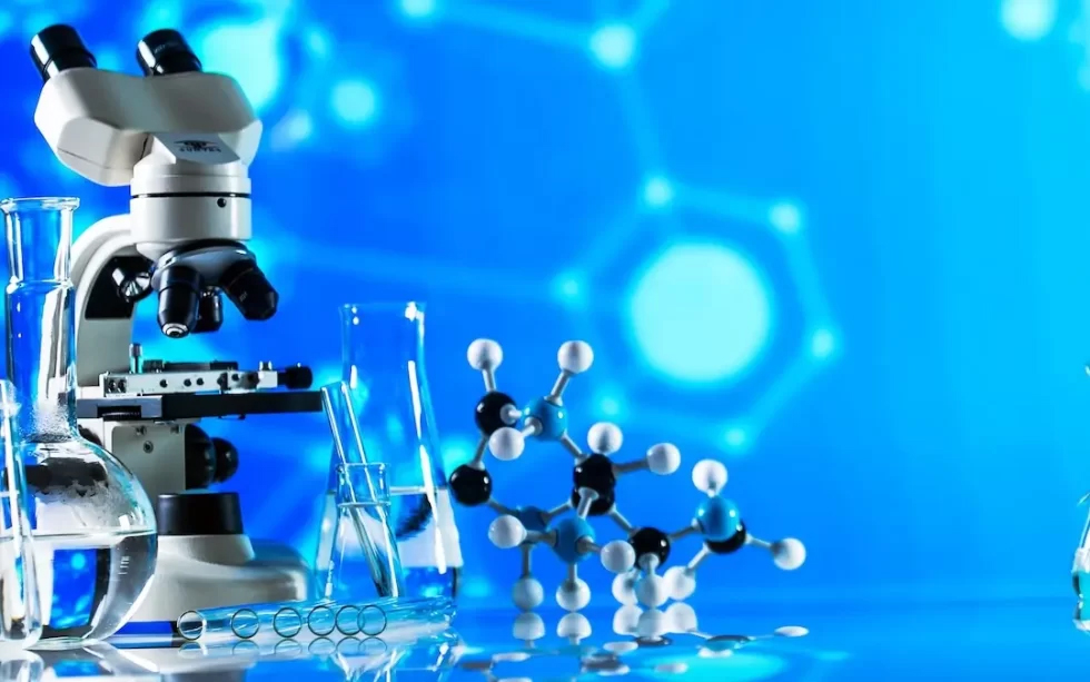 Өркениетке жол ашады