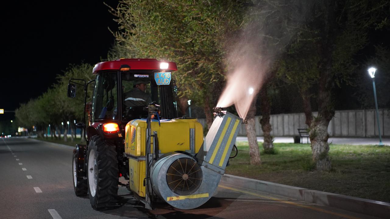 Қонаевта ағаштарды биологиялық өңдеудің алғашқы кезеңі аяқталды